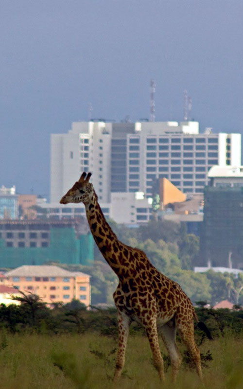 Nairobi Travel Planning
